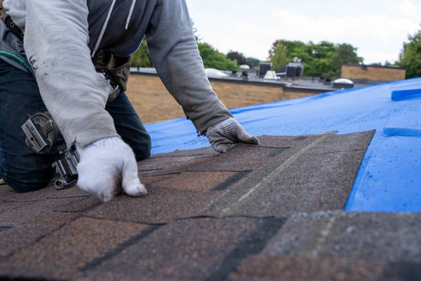 Professional Roofing Contractor in Columbia, KY