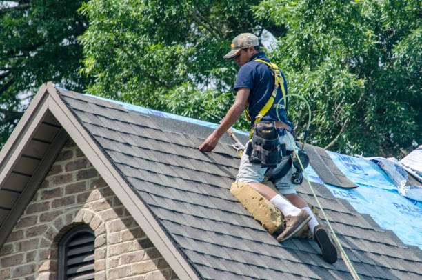 Best Best Roofing Contractors  in Columbia, KY